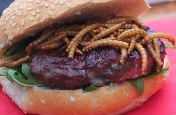 Caterpillar Burger