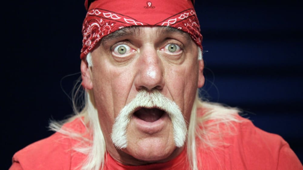 Hulk Hogan Trolled