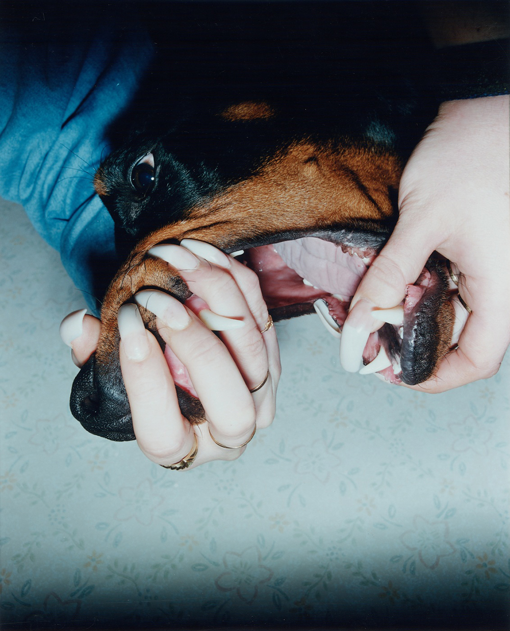 Lars Tunbjork - dog