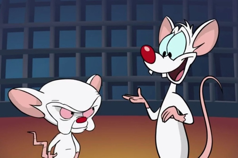This ‘Scientifically Accurate’ Pinky & The Brain Cartoon Will Ruin Your ...