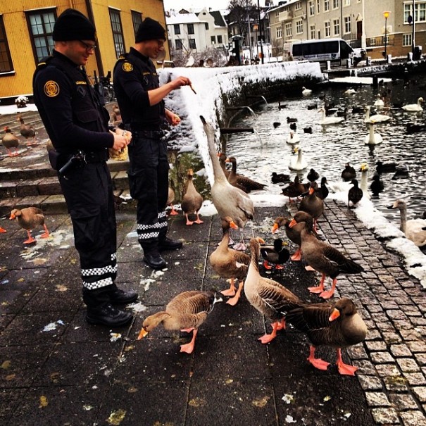 Reykjavik Police Instagram - Feeding The Ducks