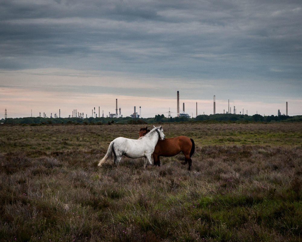 Alastair Philip Wiper - Fawley Oil Refinery UK