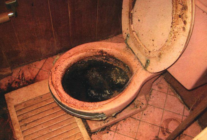 Gross Toilet