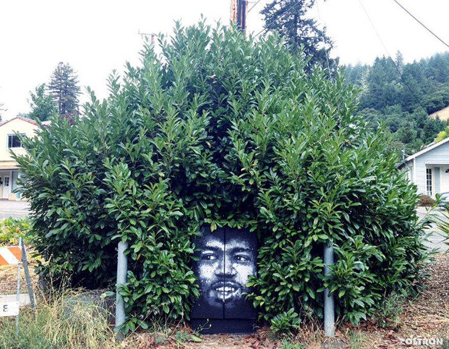 Street Art + Nature - Another Afro