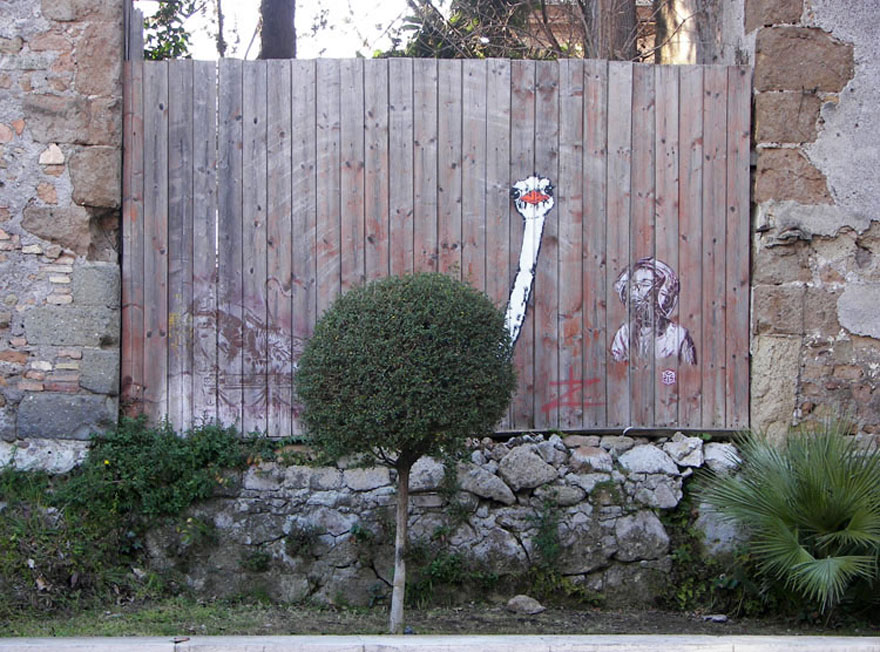 Street Art + Nature - Emu