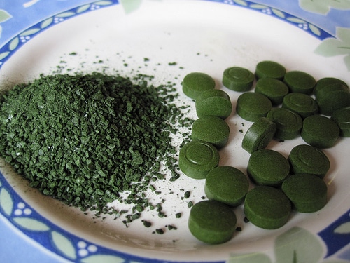 chlorella