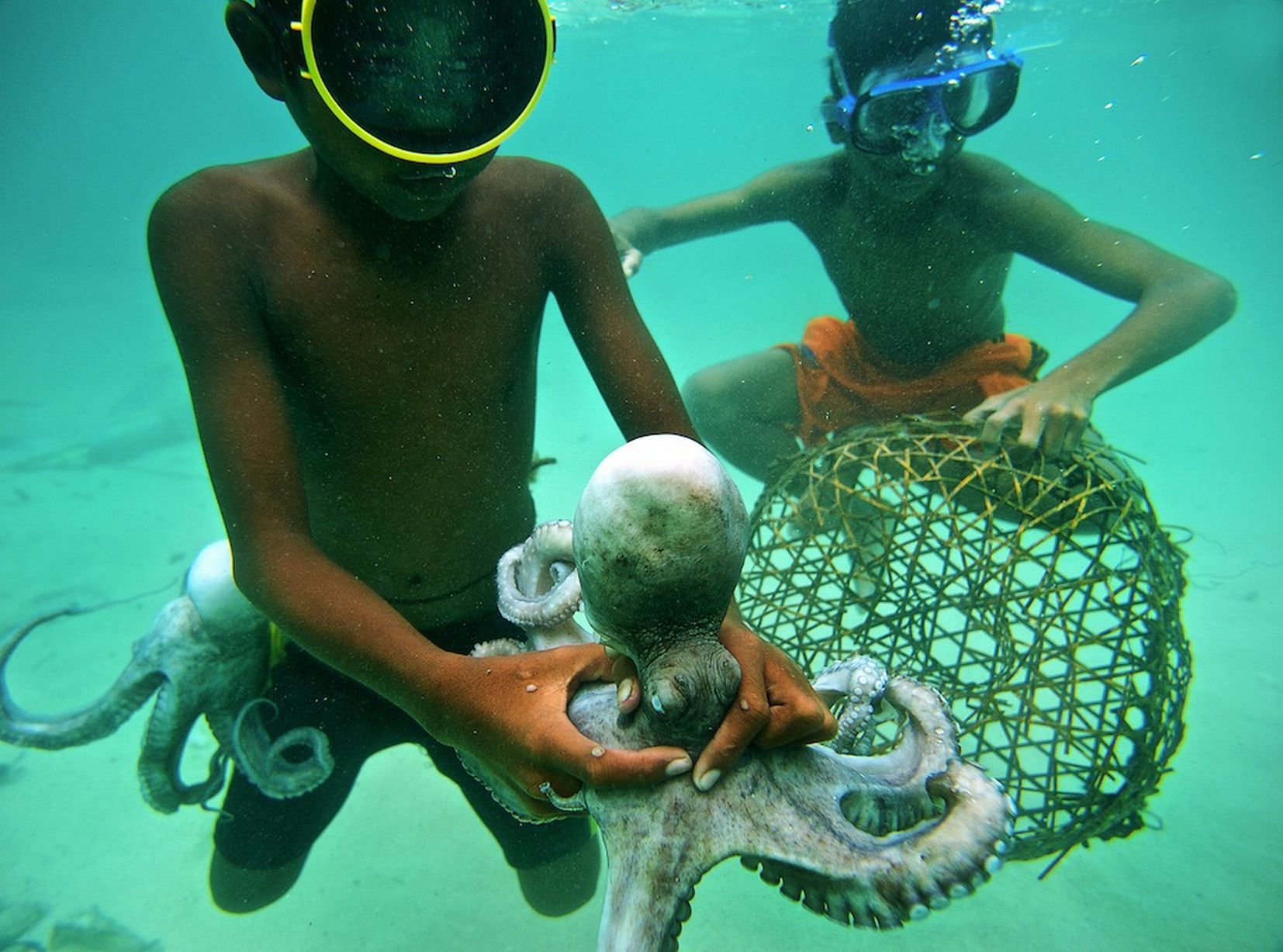 Bajau people of Malaysia - Children Catching Octopus