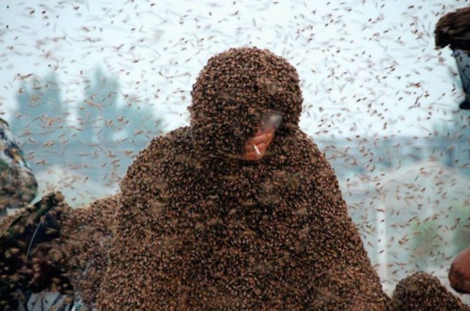 Covered In Bees