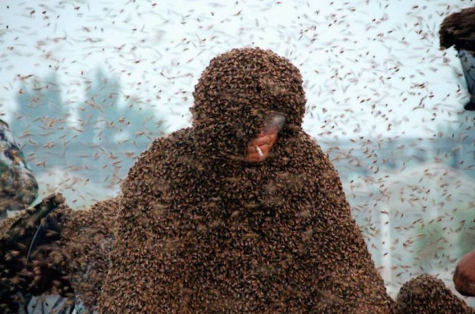 Man Sets New World Record For Being Covered In Bees Sick Chirpse
