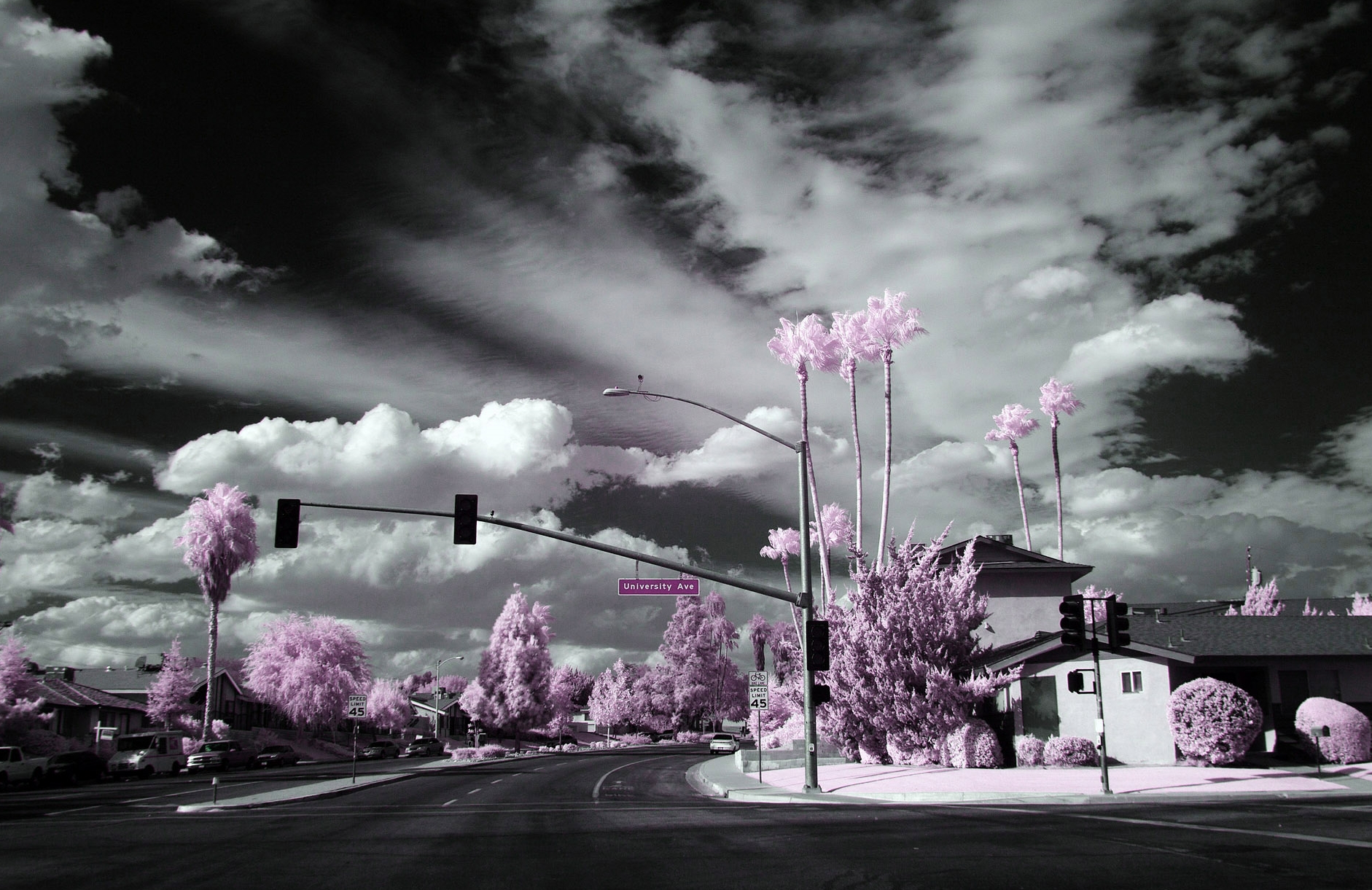 Infrared Photography - Los Angeles