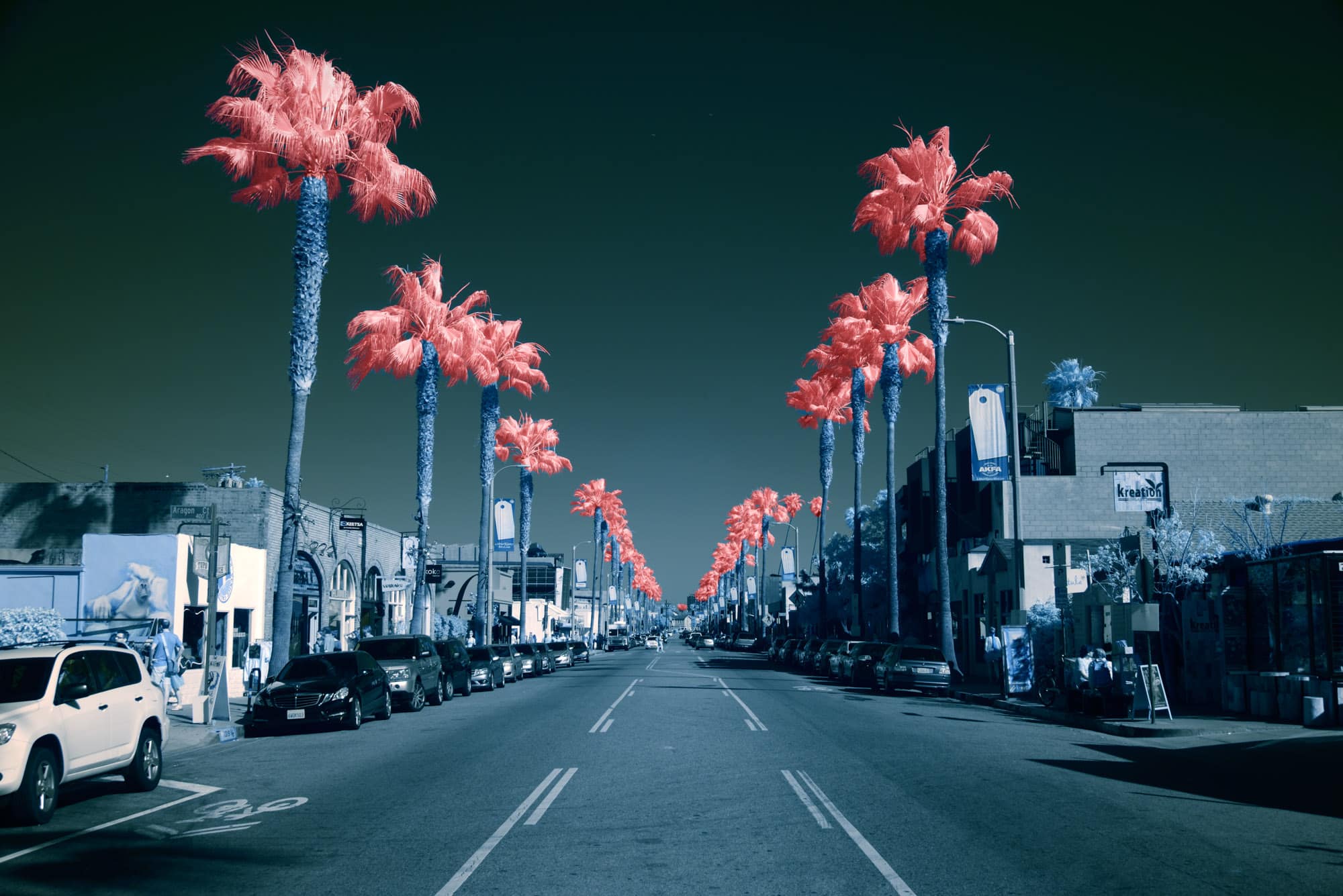 Infrared Photography - Venice California