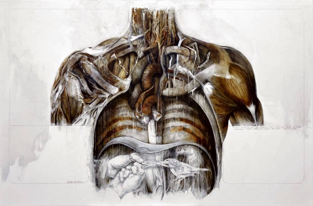 Nunzio Paci - Anatomy And Birds 4