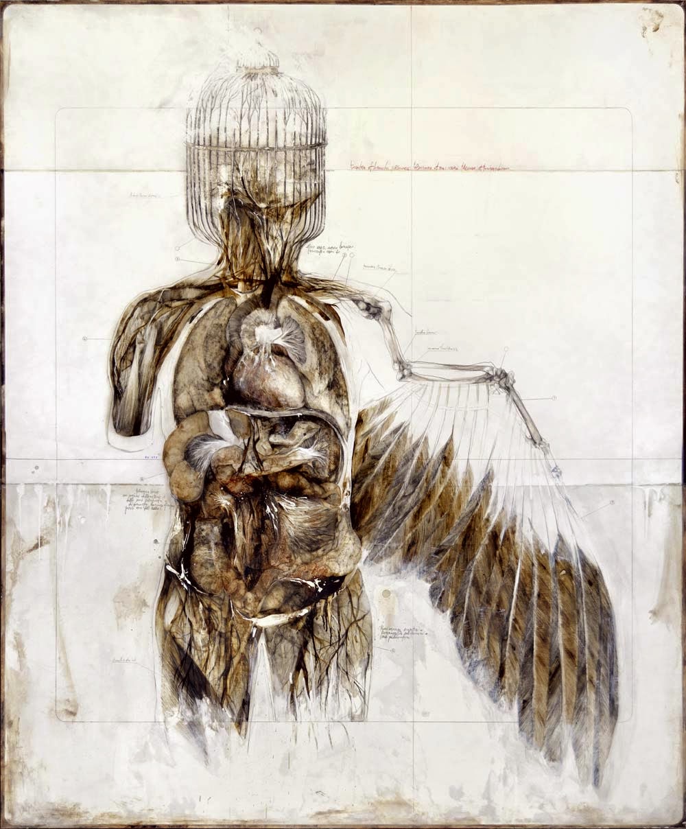 Nunzio Paci - Anatomy And Birds 5