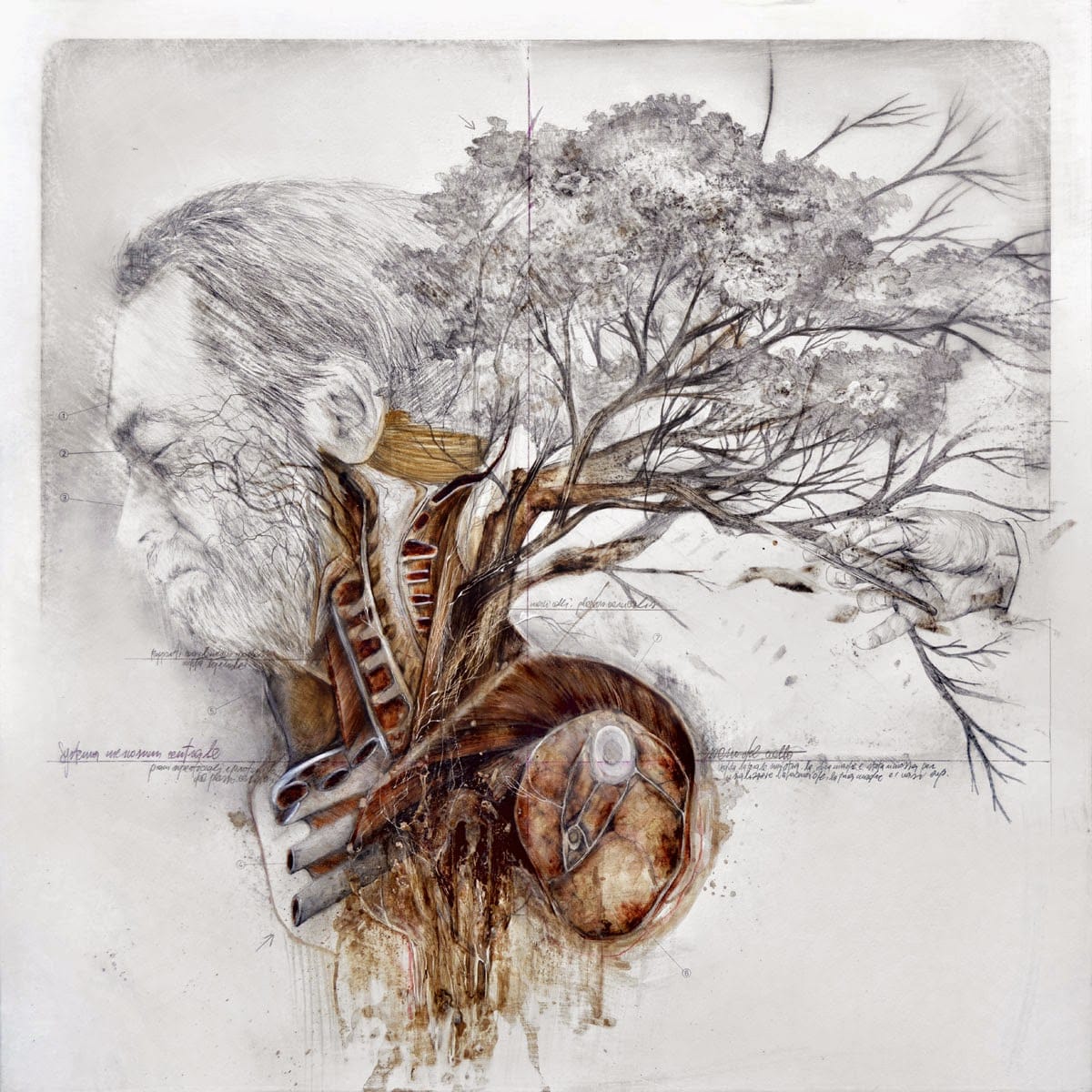 Nunzio Paci - Anatomy And Birds 8