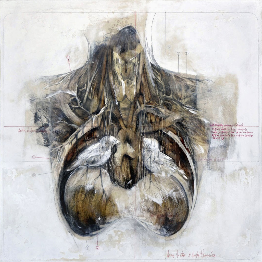 Nunzio Paci - Anatomy And Birds 9