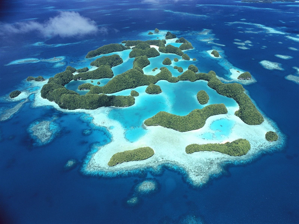 Palau Jellyfish Island