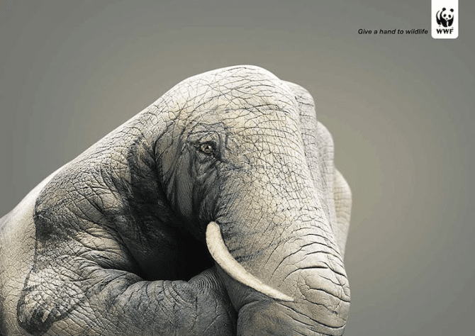 Powerful Social Issue Adverts 28