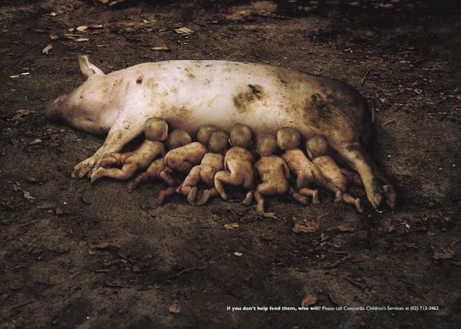 Powerful Social Issue Adverts 8