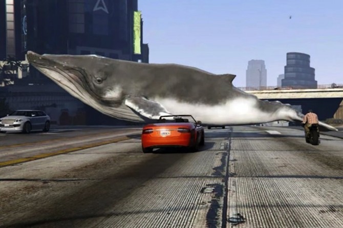 Whales GTA V