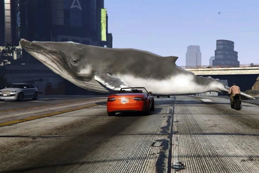 Whales GTA V