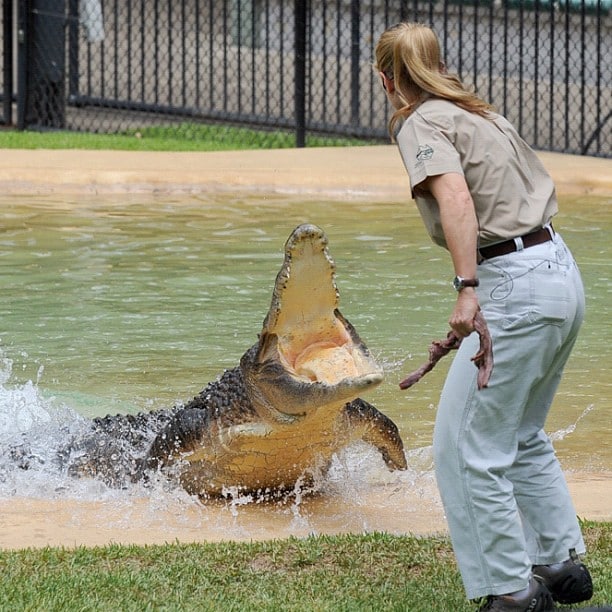 Steve Irwin's Daughter 16