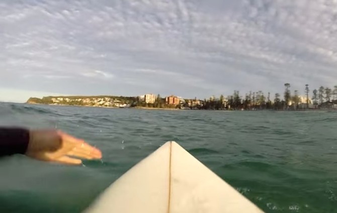 Surfer Circled By Great White Shark