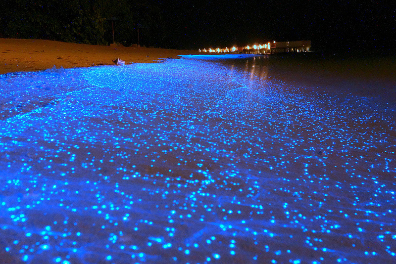 Weird Beaches - Bioluminescence Beach - Maldives