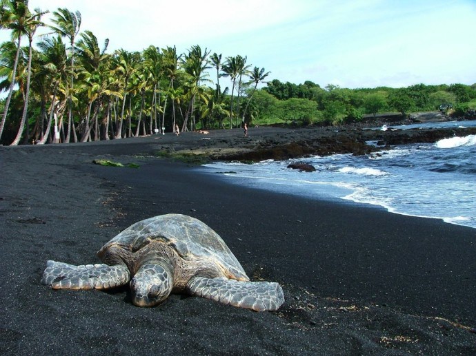 Weird Beaches - Black Sand - Hawaii