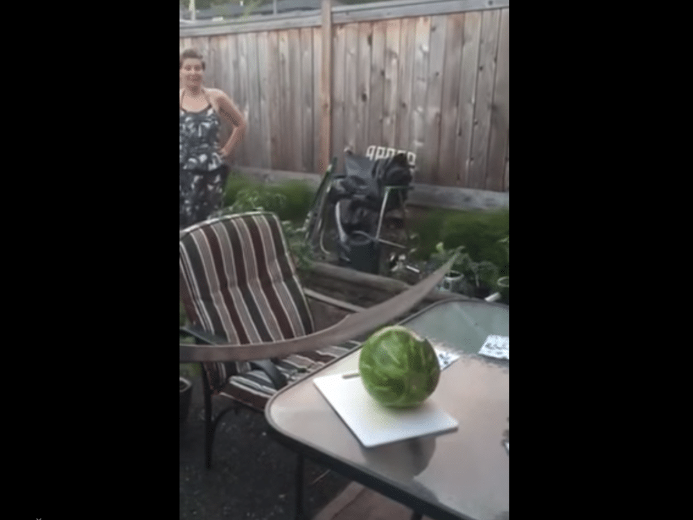 How To Cut A Watermelon With A Massive Sword And Lose Your Girlfriend