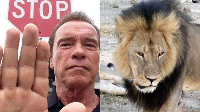 Arnold Schwarzenegger Cecil The Lion