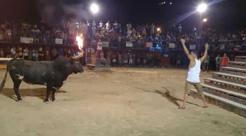 Bull With FLAMING HORNS Absolutely Destroys Idiot Who Keeps Taunting It