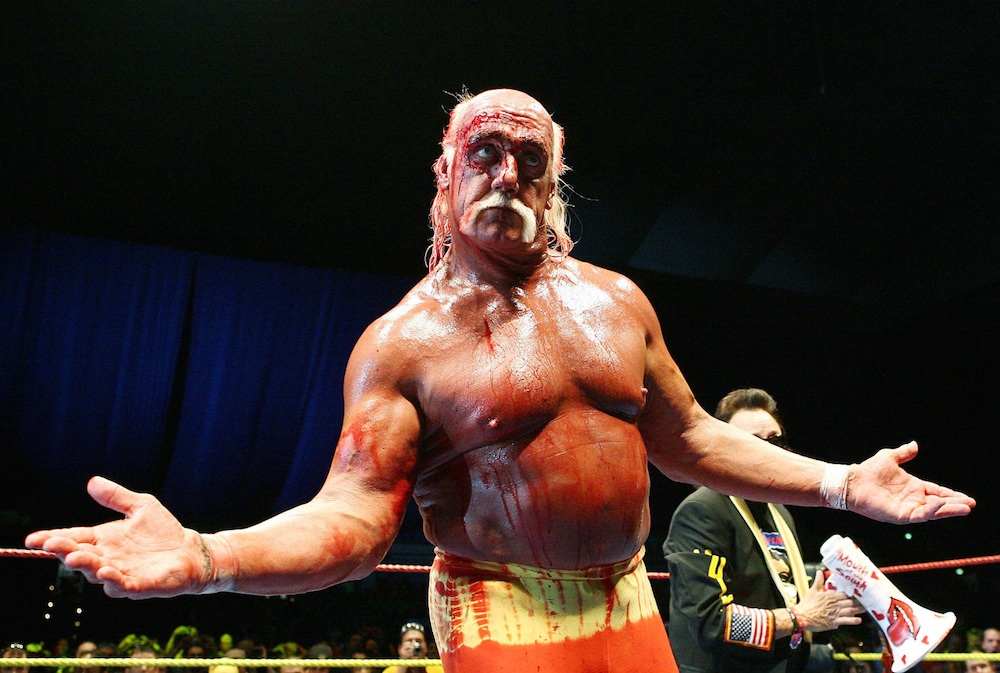 Hulk Hogan Homophobe