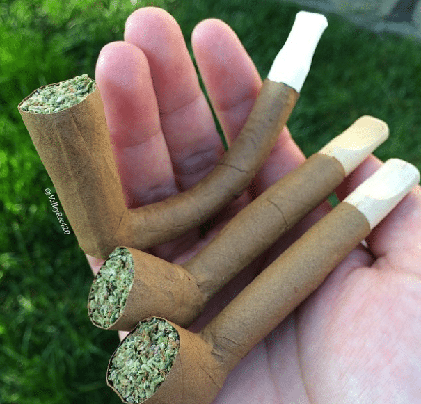 Insane Blunt Rolls 11