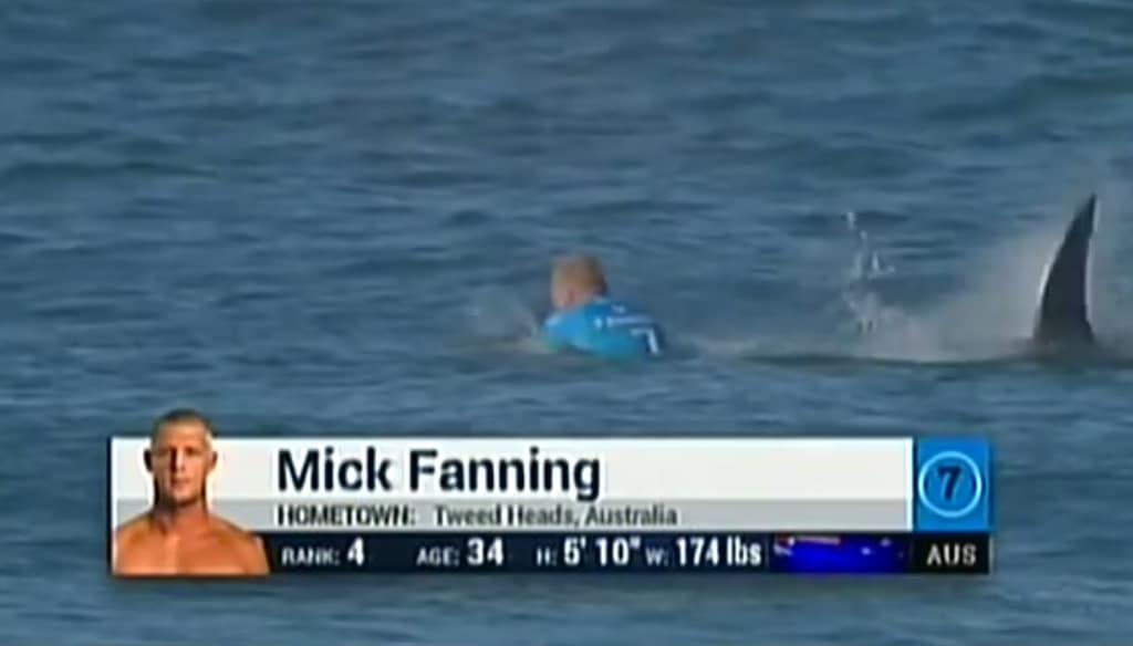 Pro Surfer Mick Fanning Gets Attacked By Shark Live On Camera At Surf Competition