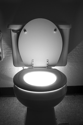 toilet