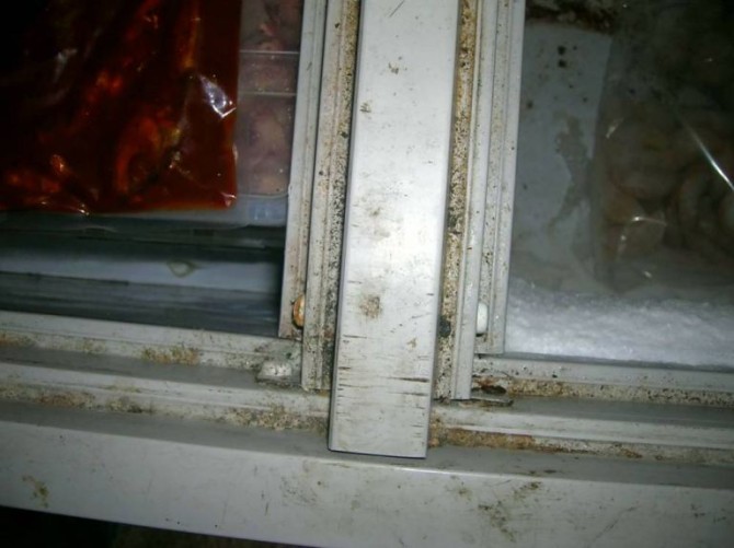 Indian Food Gross Freezer 3