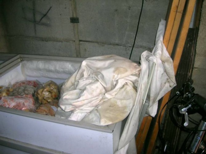 Indian Food Gross Freezer 4