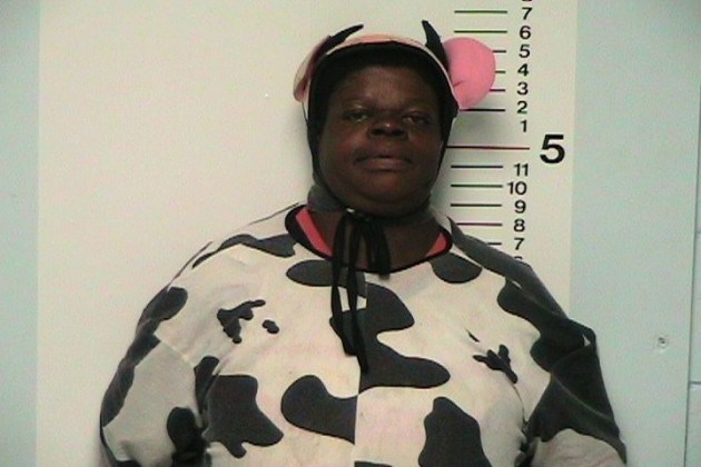 Man Cow