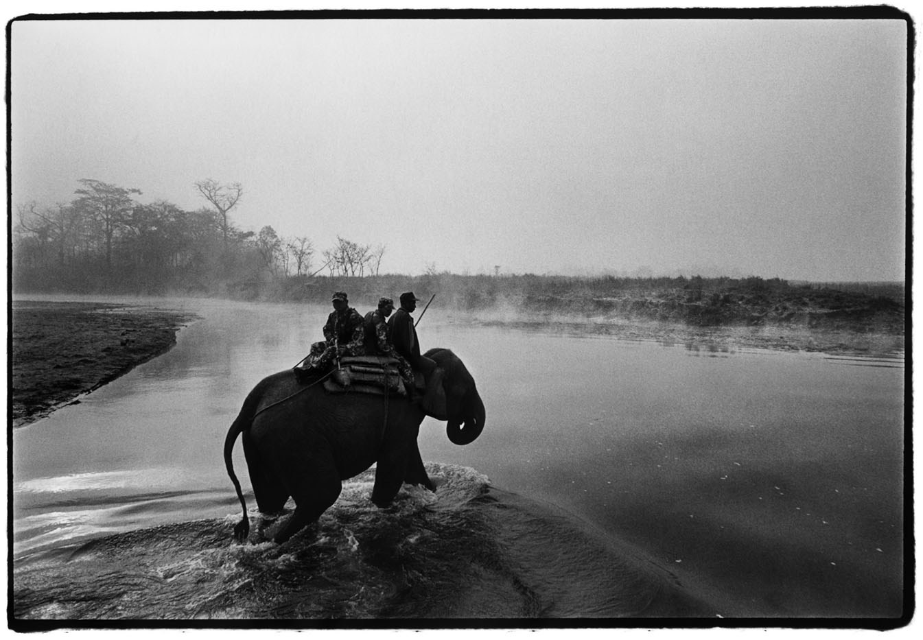 Elephants are used because their height enables them to be able to see over the 13-15 foot elephant grass to see poaching activities. The lack on of noise the elephant makes allows the soliders to surprise the poachers and the elephants presence makes sure that most of all tigers won't attack the soldiers while being on the elephants. Patrick Brown © Panos Pictures 2003
