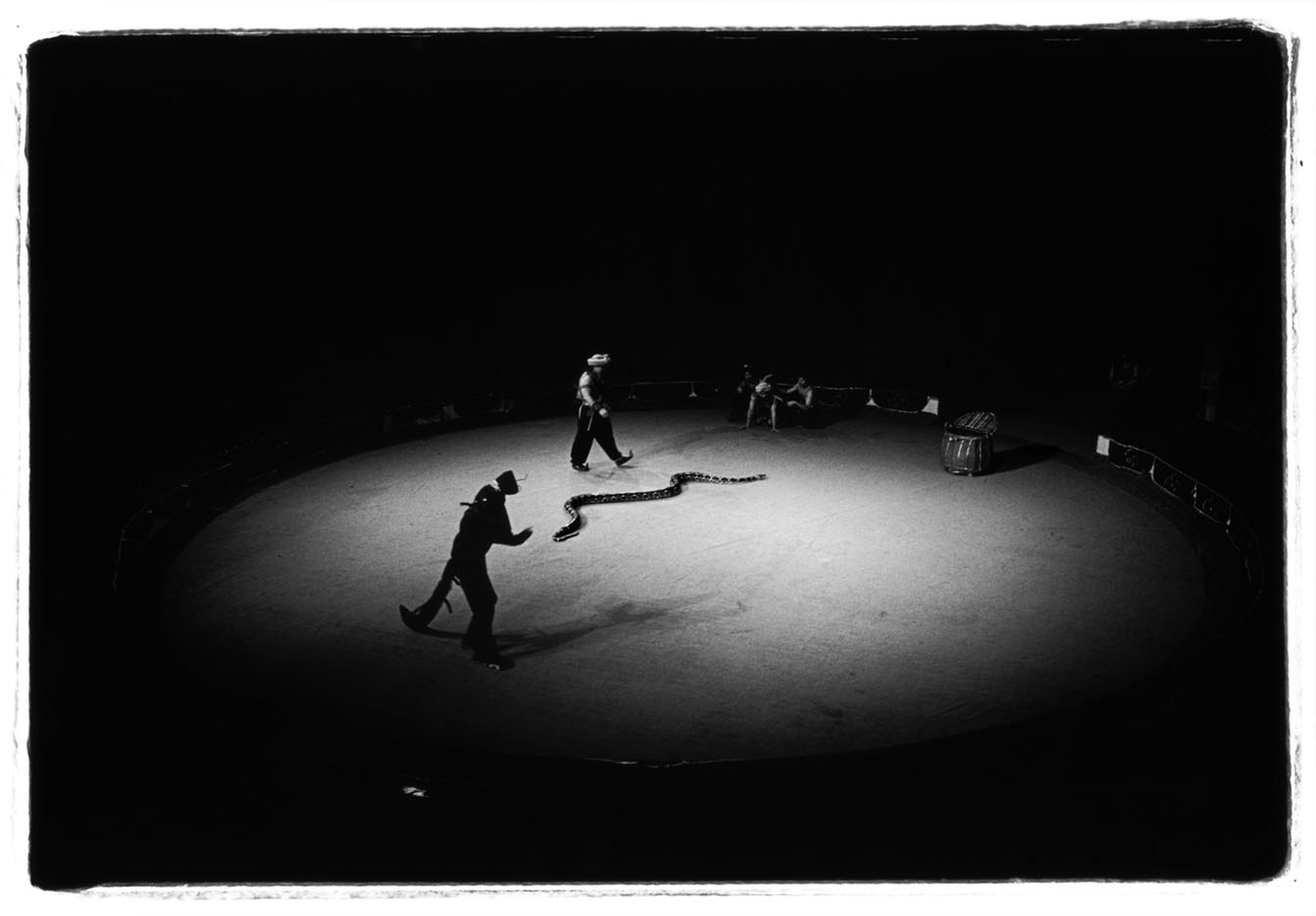 A large famel Burmese Pathon tries to get away from a man at the evening show of the Hanoi Circus. The huge permanent tent at the northern end of Lenin Park is home to Hanoi's Central Circus. The Russians introduced circus arts during their era of influence here, and the Vietnamese have retained a fondness for it. Vietnam 2009