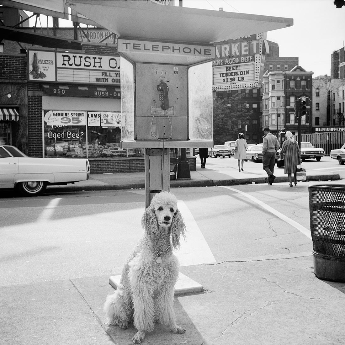 1960s. Chicago, IL