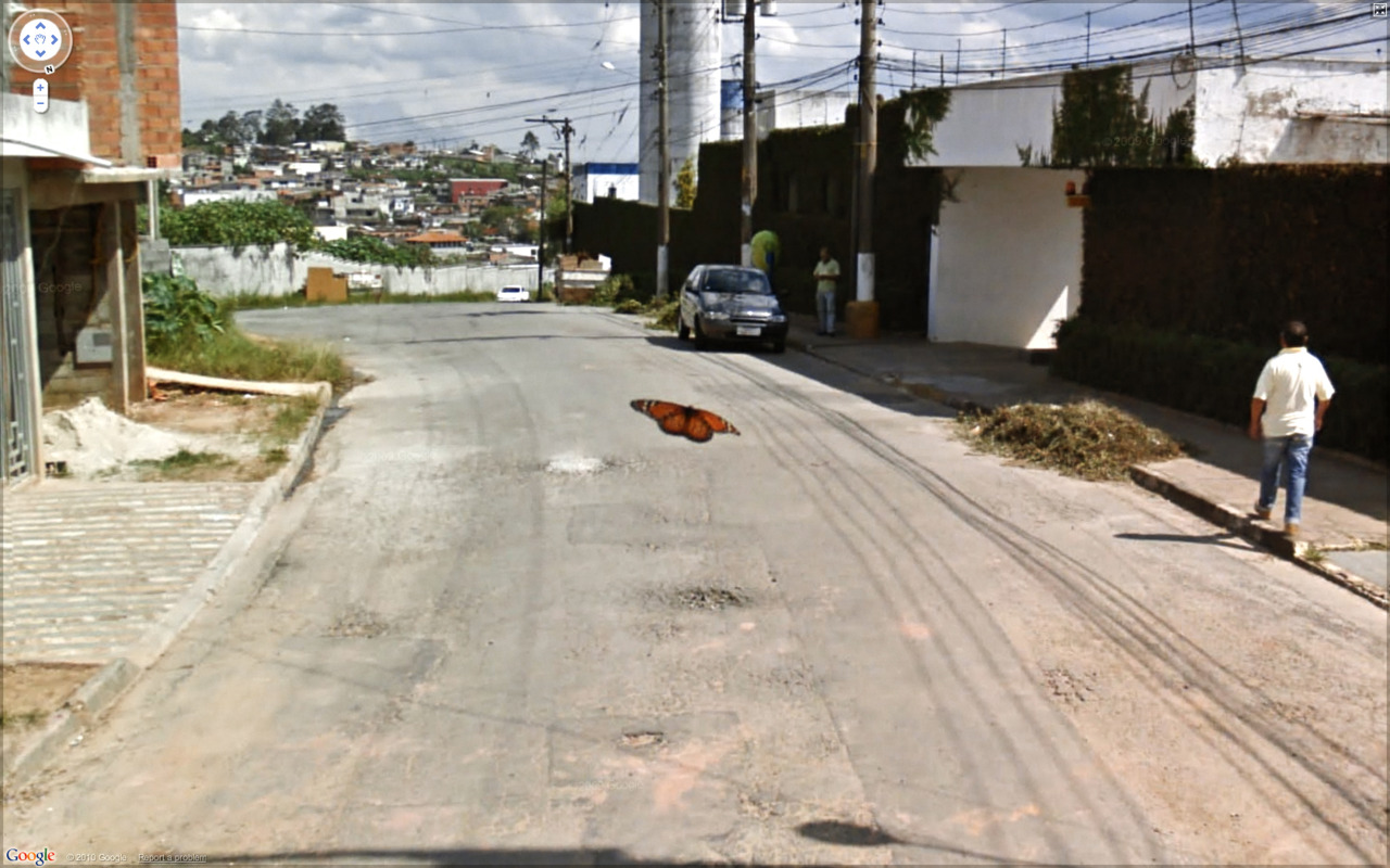 Weird Google Street View - Beauty 2