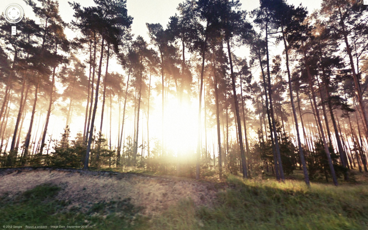 Weird Google Street View - Forest