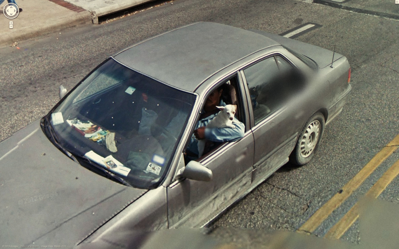 Weird Google Street View - Little Dog