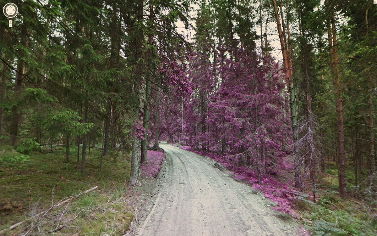 Weird Google Street View - Poison