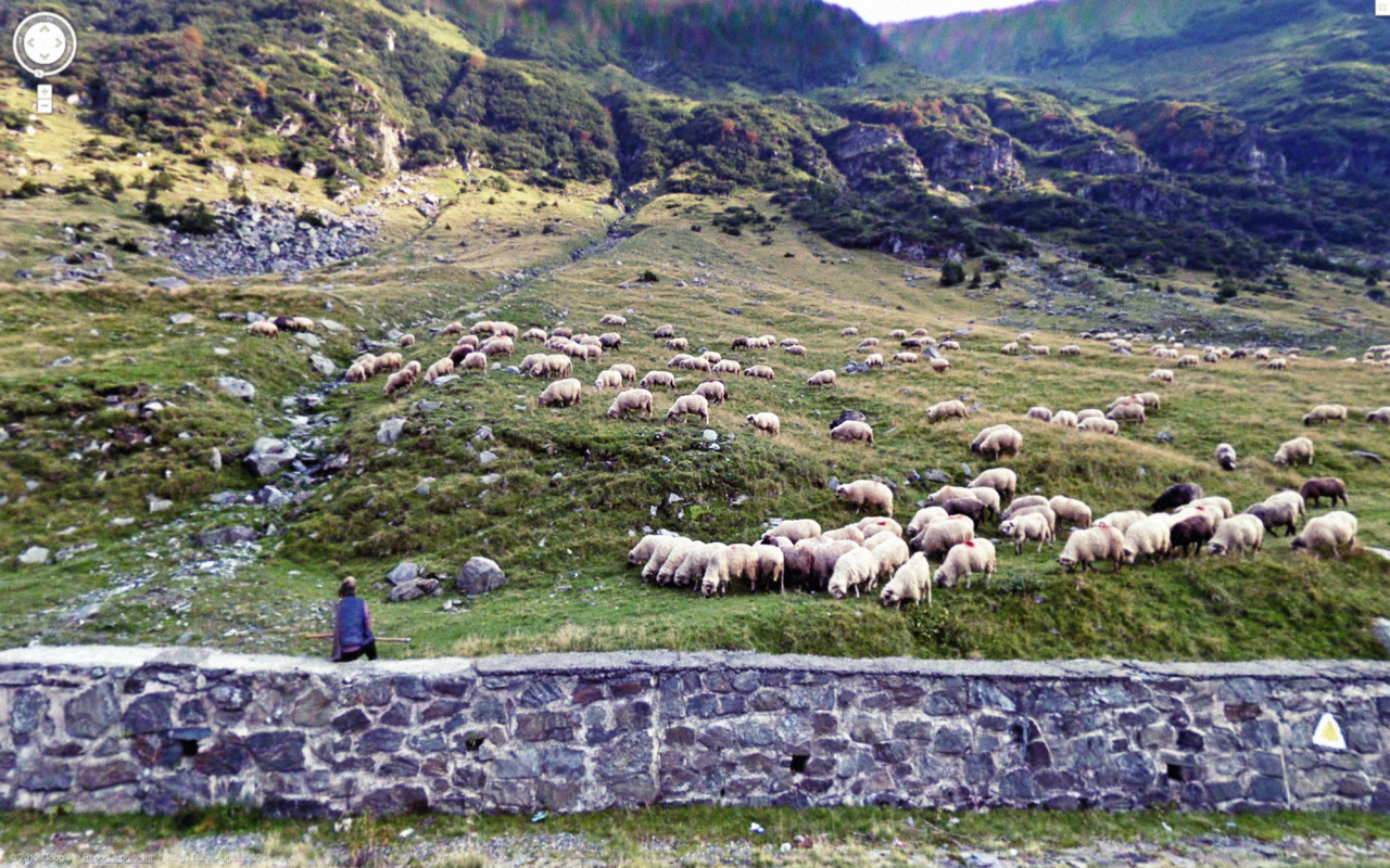 Weird Google Street View - Sheep Herder