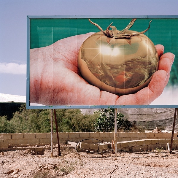 Almeria Hothouse Immigrants - Tomato Hoarding