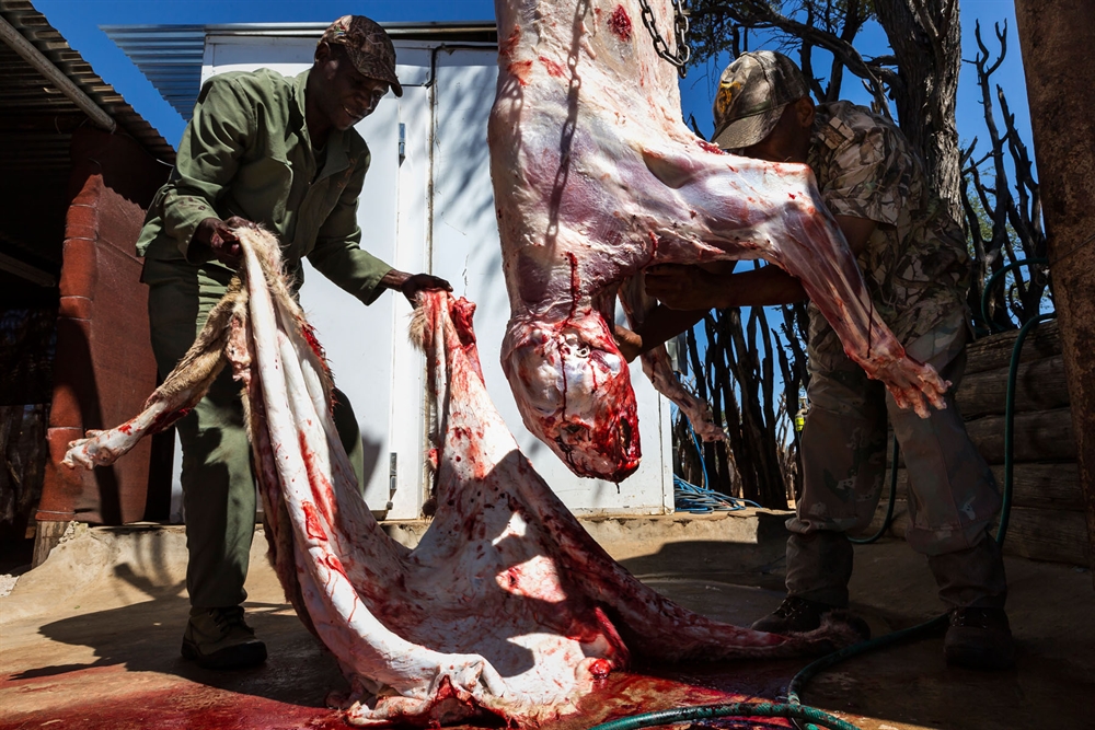 Brent Stirton - Living With Lions