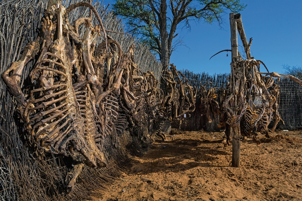 Brent Stirton - Skeletons