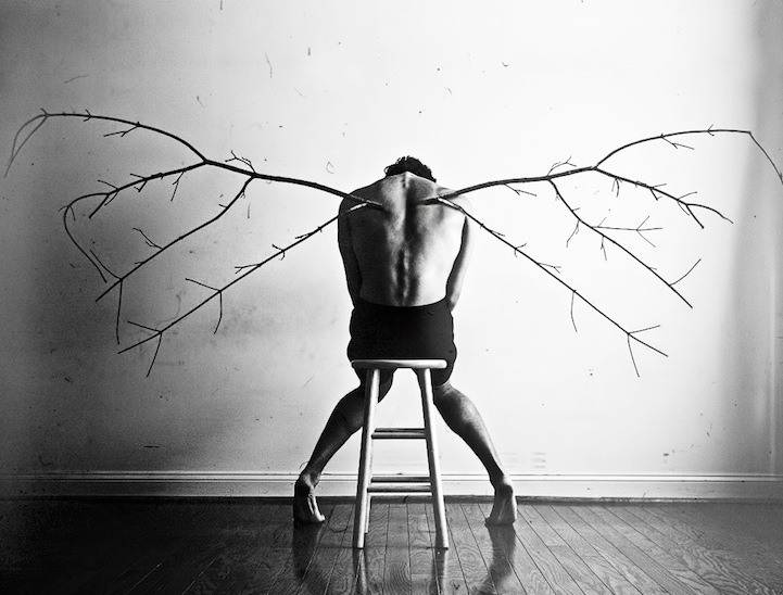 Christian Hopkins - Depression Photos - Twig Wing